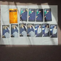 【箔押有】呪術廻戦 クリアシートセット 11枚セット