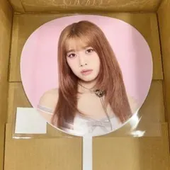 Item thumbnail for item 35f42bbd-38a5-4827-87b5-6d60a857ff2d