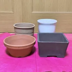 2026年最新】植木鉢 テラコッタの人気アイテム - メルカリ
