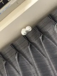 専門