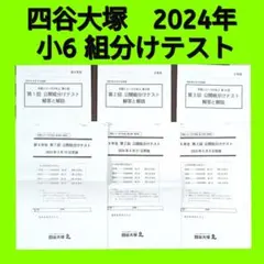 2026年最新】公開組み分けテストの人気アイテム - メルカリ