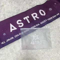 2026年最新】astro スローガン 公式の人気アイテム - メルカリ