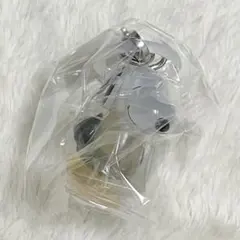 PEANUTSめじるしアクセサリー FUNNY ver. /スヌーピーD