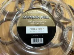 Item thumbnail for item 0b681116-5f34-47a6-b0c9-4b924a06190b