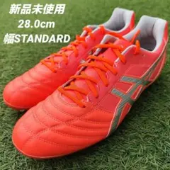 asics DS LIGHT AG L.E. 28.0cm