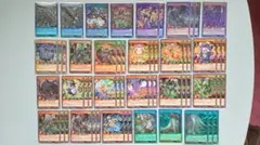 叛骨 ネクメイド デッキパーツ 遊戯王 ラッシュデュエル - メルカリ