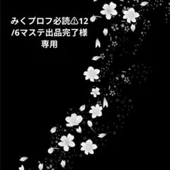 みくプロフ必読⚠12/6マステ出品完了様専用