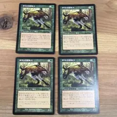 敏捷なマングース/Nimble Mongoose 日本語 4枚 MTG - メルカリ