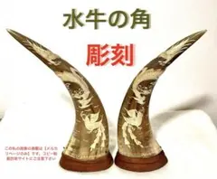 2026年最新】水牛ツノの人気アイテム - メルカリ