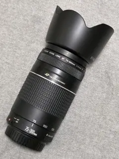 ❤即購入1000円OFF❤Canon Kiss X50 マクロ 超望遠レンズ 2026年最新】canon マクロレンズ kissの人気アイテム - メルカリ