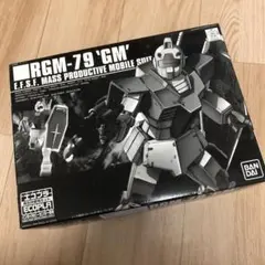 難あり☆ RGM-79 'GM' HG 1/144 エコプラ