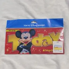 ディズニーリゾート ミッキーマウス ミニーマウス チケットケース ファイル