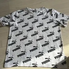 PUMA ロゴプリント Tシャツ Mサイズ ホワイト