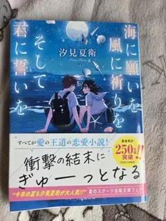 海に願いを風に祈りを君に誓いを