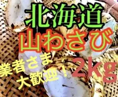 旨辛！北海道 山わさび 2kgのサムネイル