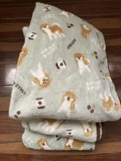 柴犬柄ブランケット三枚セット