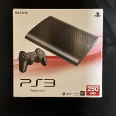 PlayStation 3 本体 ➕バイオハザード リバイバルセレクション