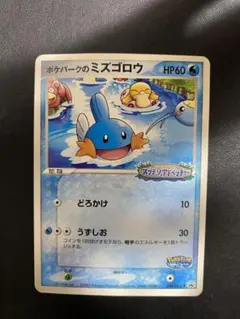 ポケパークのミズゴロウ プロモ PCG-P ポケモンカードのサムネイル