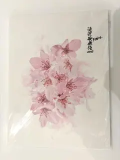 滝沢歌舞伎 ZERO FINAL パンフレット