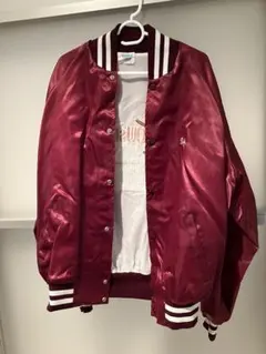 Westark スタジャン