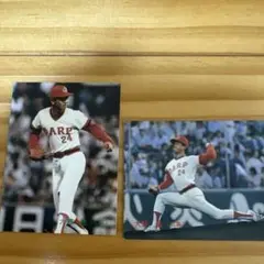カルビー プロ野球カード 大野豊 2枚セット 1988年 1989年