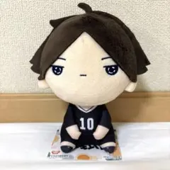 [新品タグ付き] ハイキュー もちぴこ ぬいぐるみ　角名倫太郎