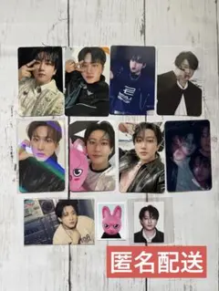 straykids チャンビン 店舗特典 まとめ売り 11枚 トレカ doit