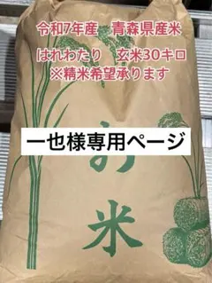 まもなく終了！1等米 30kg 大分県産 新米 なつほのか - メルカリ