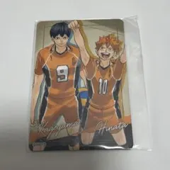 ハイキュー!! ハイキュー展 マグネットステッカー 日向翔陽 影山飛雄 1点