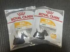 Item thumbnail for item dd11cc43-11e2-43e1-af9d-31f809c4cbe7