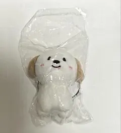 RIIZE アントン モンリョンイ 10cm ドール キーリング