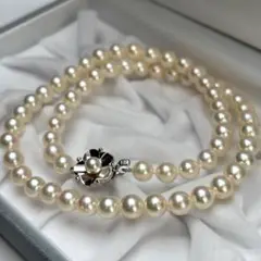 【テリ強✨】　あこや真珠　ネックレス　クリーム系　約6.5-7.0 29.4g