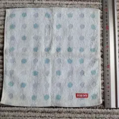 Item thumbnail for item 12d513e2-2585-4a4e-b02e-a425c9f237e3