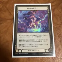 Ghost Protocol:Architect Top4 CF 未使用 FaB - メルカリ