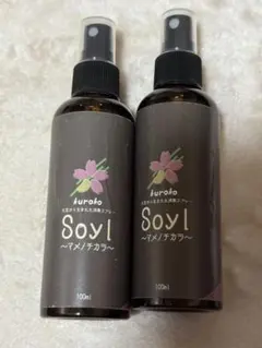 Item thumbnail for item ebd52446-e9ce-47dd-9241-f224d2f711cc