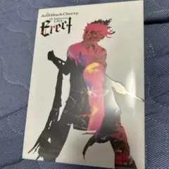 Acid Black Cherry Erect 5th Anniversary