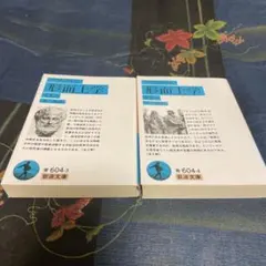 形而上学 上下セット