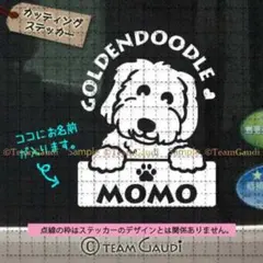 ゴールデンドゥードル　No.3　名前入 ステッカー ドッグインカー　犬　シール