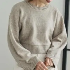 Edit Sheen ワイドスリーブハイゲージショートニット　ニット　セーター