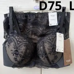 Wing/Wacoal ウイング/ワコール　レシアージュ　ブラジャー、ショーツのサムネイル