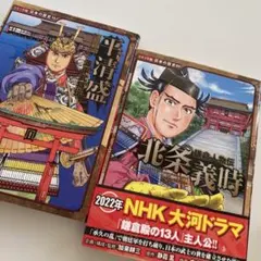 Item thumbnail for item 50ac5035-3b43-4b7d-bebc-89cbf7661f6f