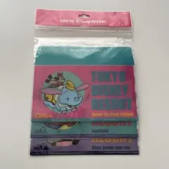 ディズニー ミッキー ミニー レトロ マスクケース 3個セット 未使用