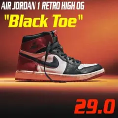 NIKE AIR JORDAN 1 HIGH OG Black Toe 29.0