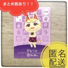 【匿名配送】058 ジェーン　あつ森　とび森　どうぶつの森　amiibo