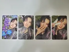 【YUMA】&TEAM Back to Life ROAR ver.トレカセット