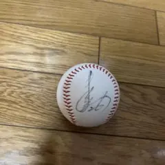 阪神タイガース 2023優勝記念 プリントサインボール　佐藤輝明 阪神タイガース 2023優勝記念 プリントサインボール 佐藤輝明 - メルカリ