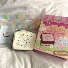 新品 文清ストロング スクイーズ トースト チョコミント