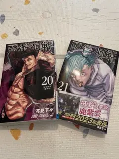 初版帯付き】呪術廻戦 21巻 - メルカリ
