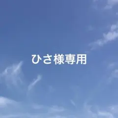ひさ様専用