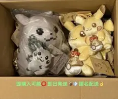 はじまりのピカチュウ ぬいぐるみ マスコット ピカピカ！ピカチュウ　セット